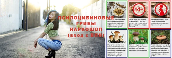 герыч Арсеньев