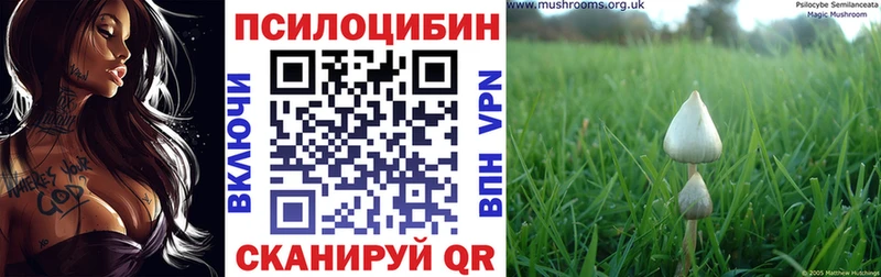Псилоцибиновые грибы GOLDEN TEACHER  магазин    Ухта 